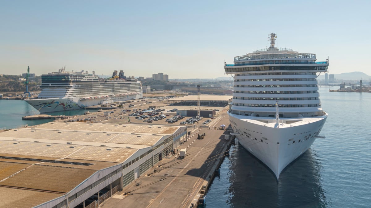 Two Cruise Ships in Port